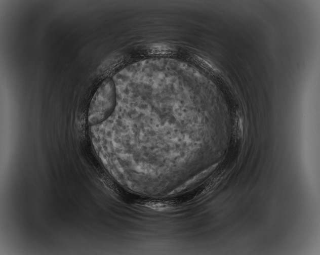 X0000087010557200705071528