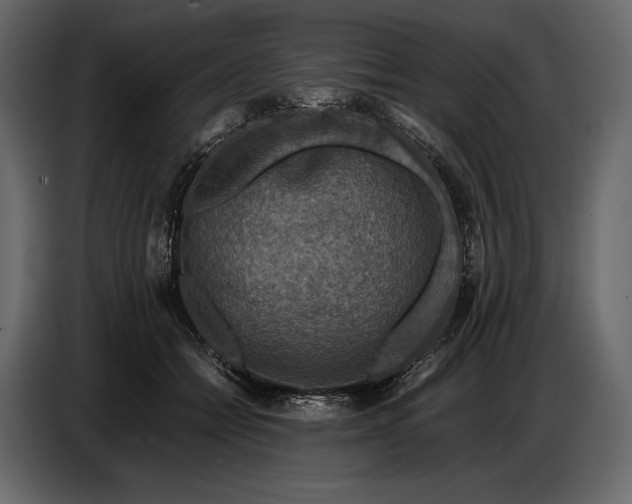 X0000087010558200705071528