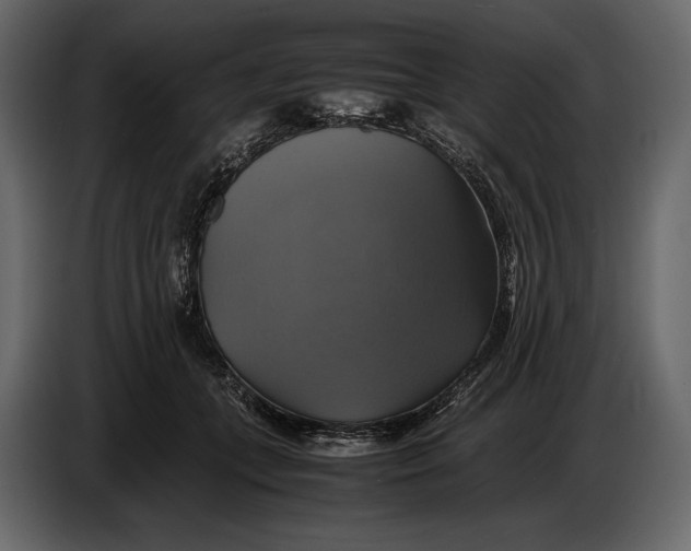 X0000087010559200705071528