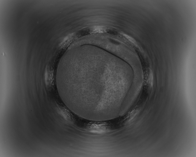 X0000087010560200705071528