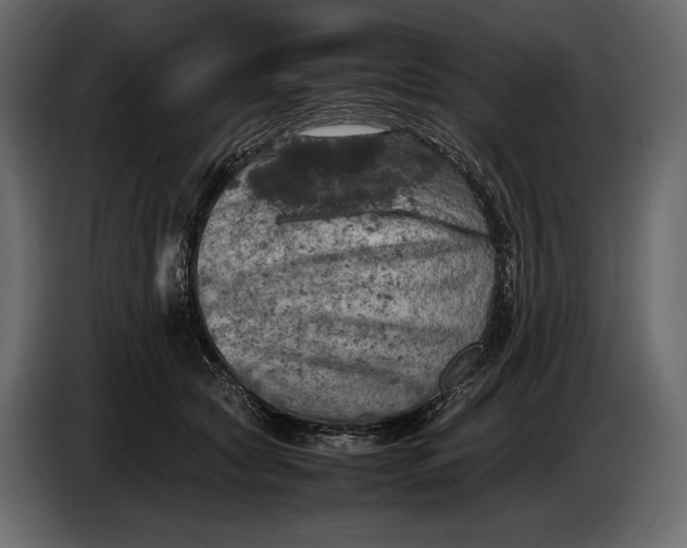 X0000087010561200705071528