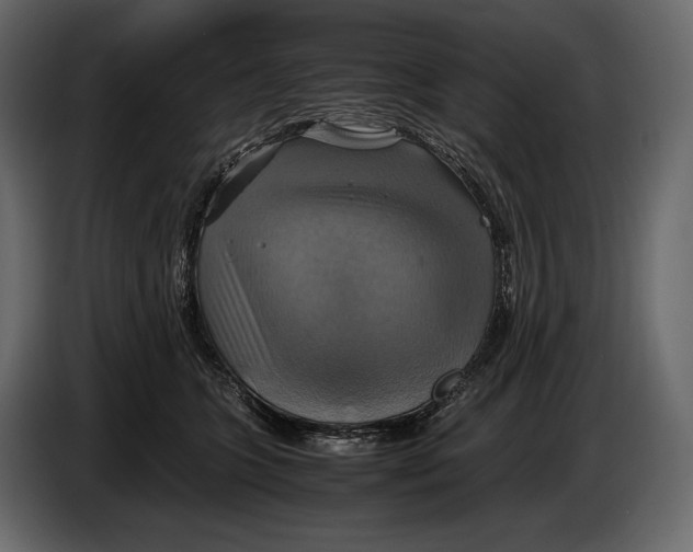 X0000087010563200705071528