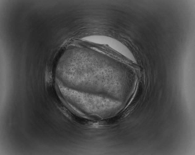 X0000087010564200705071528