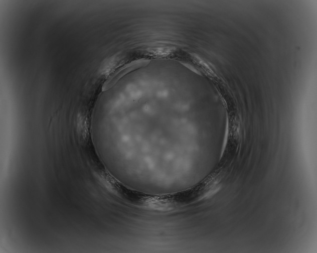 X0000087010568200705071528