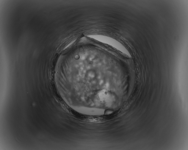 X0000087010569200705071528