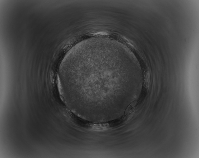 X0000087010571200705071528