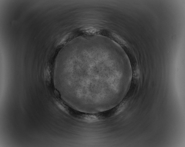 X0000087010572200705071528