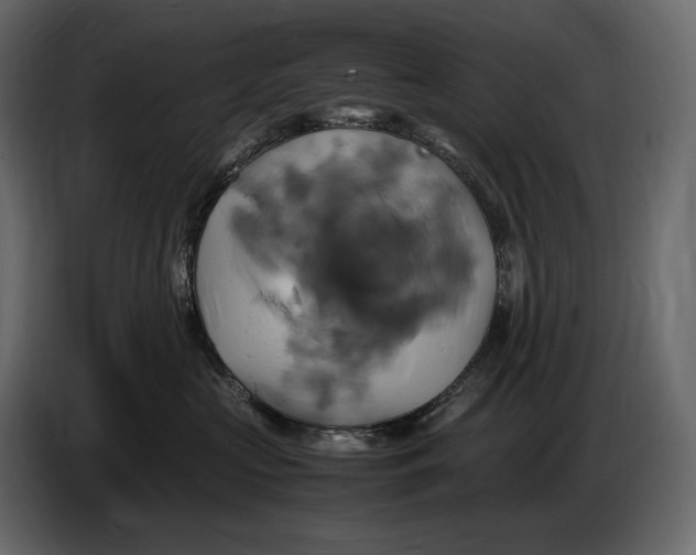 X0000087010573200705071528