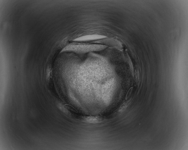 X0000087010574200705071528