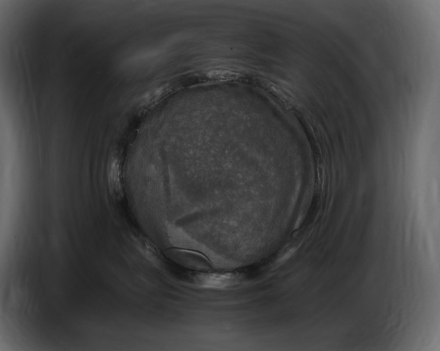 X0000087010575200705071528