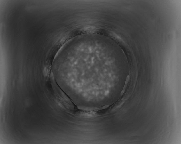 X0000087010576200705071528