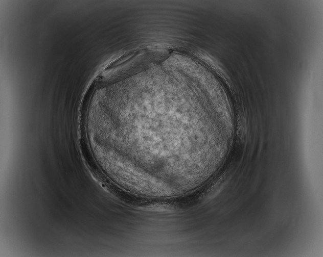 X0000087010578200705071528