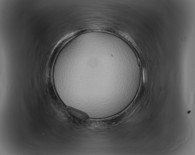 X0000087010579200705071528