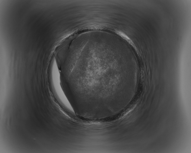 X0000087010581200705071528