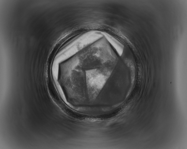 X0000087010582200705071527