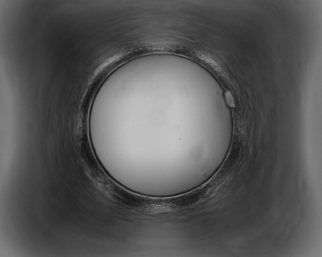 X0000087010583200705071527