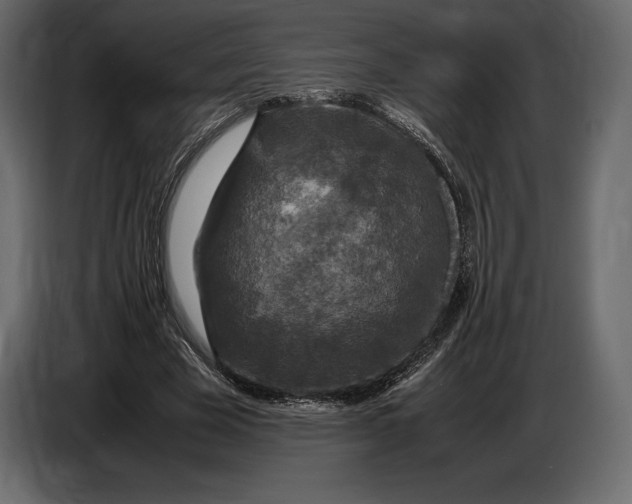 X0000087010585200705071527