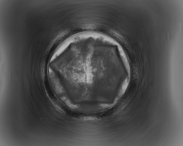 X0000087010586200705071527