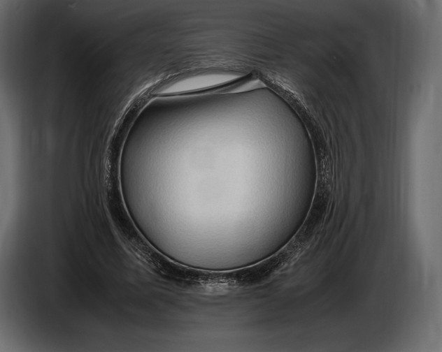 X0000087010587200705071527