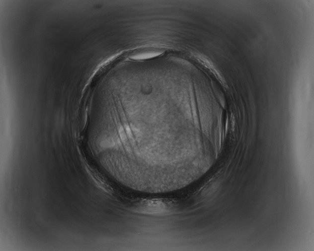 X0000087010588200705071527