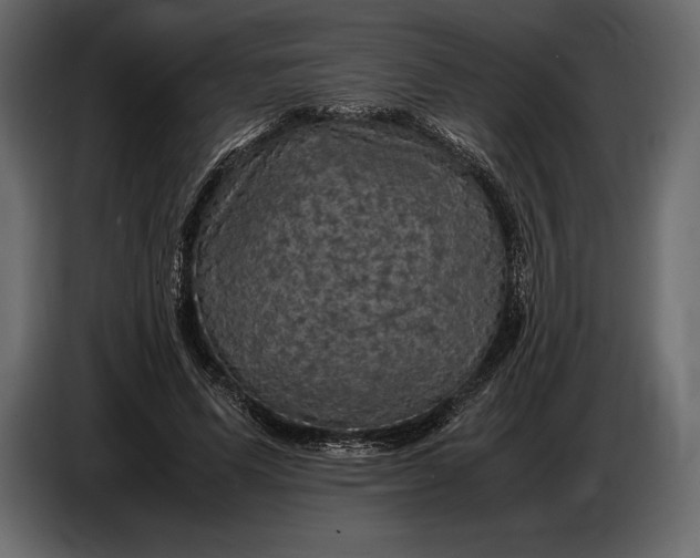 X0000087010591200705071527