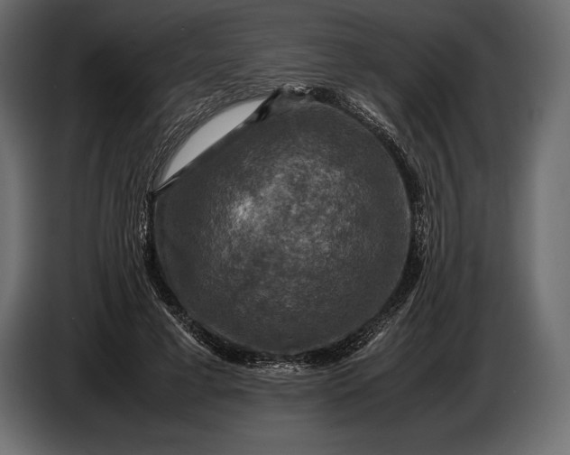 X0000087010593200705071527