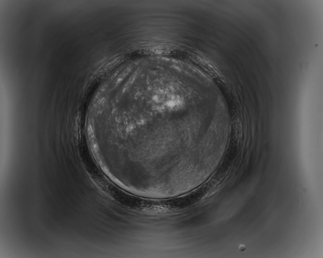 X0000087010594200705071527