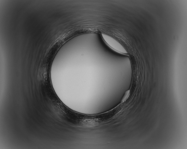 X0000087010595200705071527