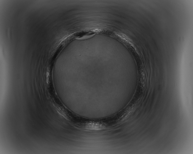 X0000087010596200705071527