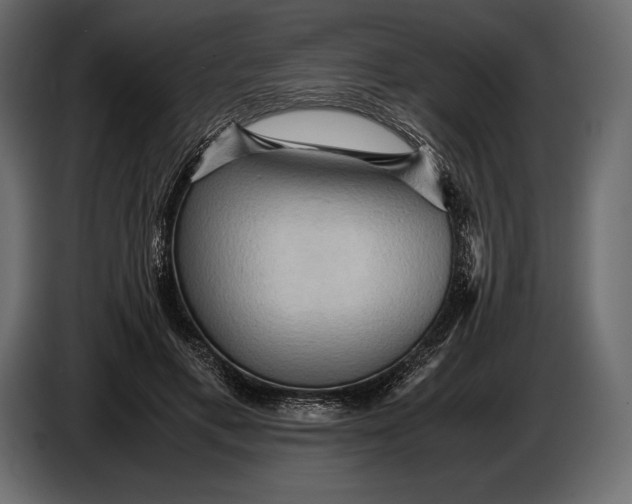 X0000087010597200705071527