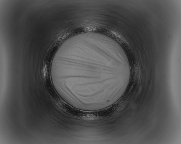 X0000087010598200705071527