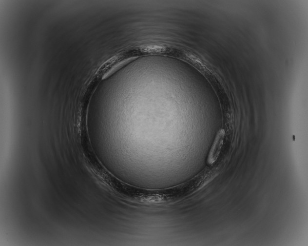 X0000087010600200705071527