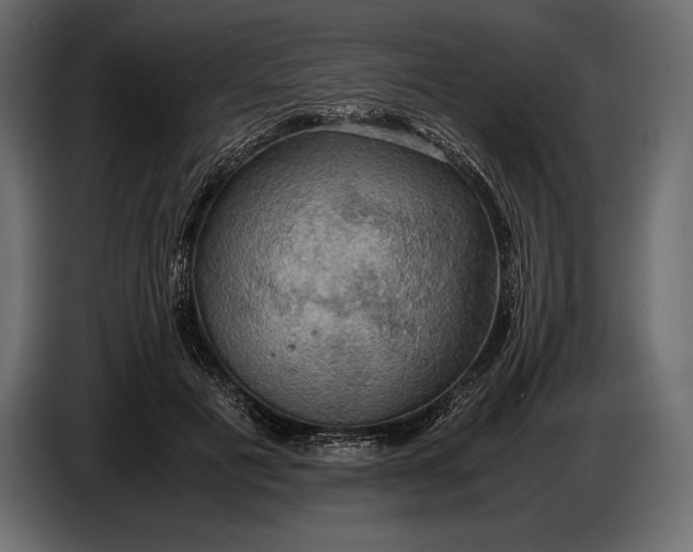 X0000087010601200705071527