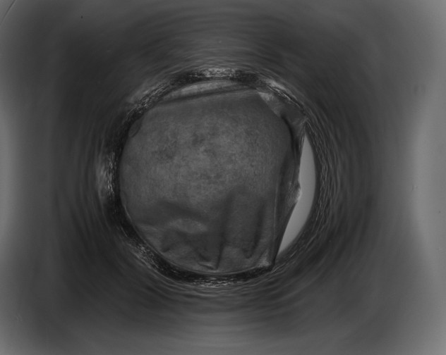 X0000087010604200705071527