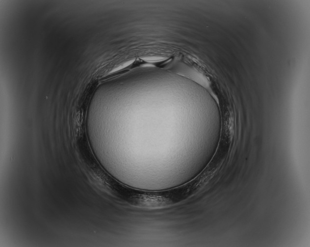 X0000087010605200705071527