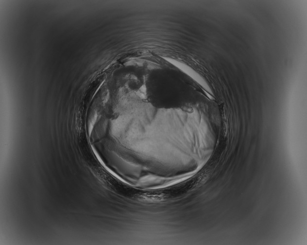 X0000087010606200705071527