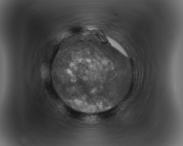 X0000087010609200705071527