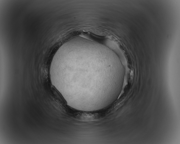 X0000087010613200705071527