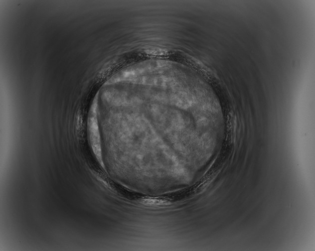 X0000087010614200705071527