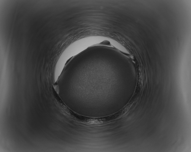 X0000087010616200705071527