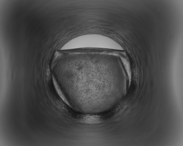 X0000087010617200705071527