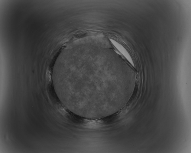 X0000087010621200705071527