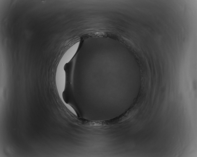 X0000087010624200705071527