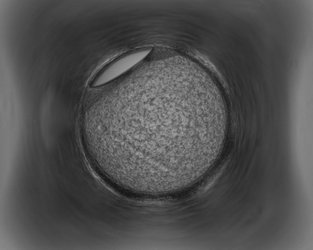 X0000087010625200705071526