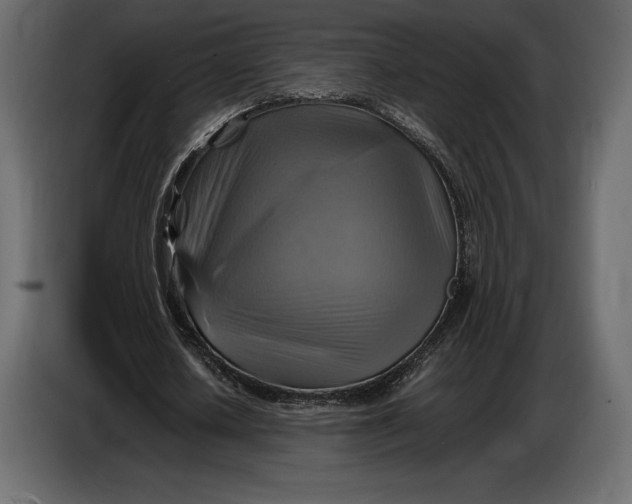 X0000087010626200705071526