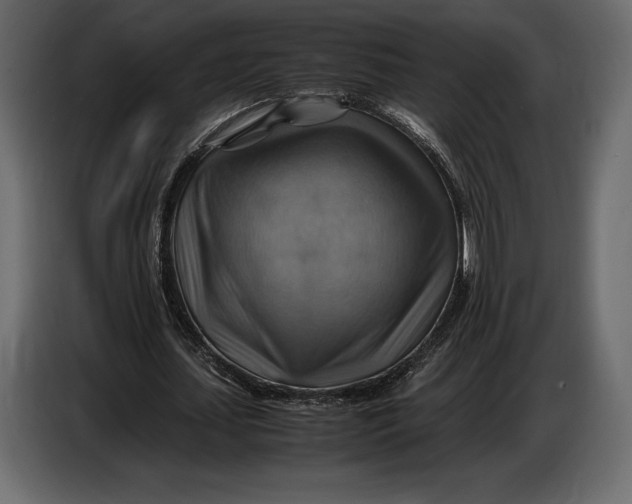 X0000087010627200705071526