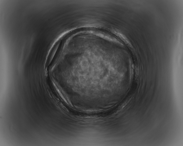 X0000087010628200705071526