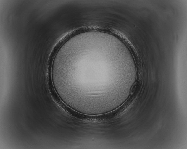 X0000087010629200705071526