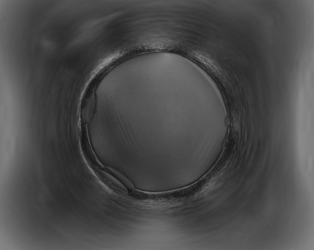 X0000087010630200705071526