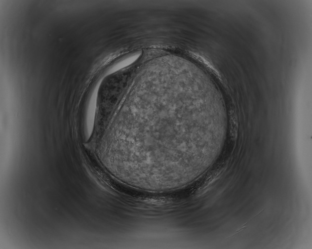 X0000087010631200705071526